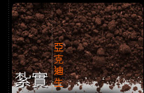 矽膠模具 模型加工